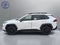 2020 Toyota RAV4 Adventure