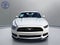 2015 Ford Mustang GT 50 Years Limited Edition