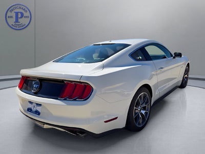 2015 Ford Mustang GT 50 Years Limited Edition