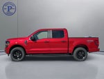 2025 Ford F-150 STX®