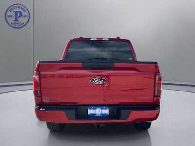 2025 Ford F-150 STX®