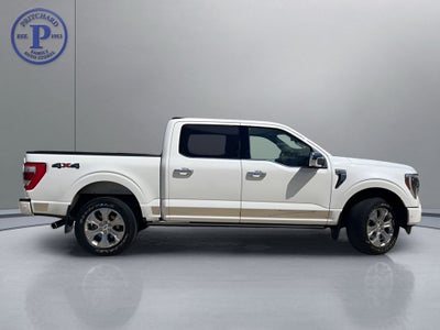 2022 Ford F-150 Platinum
