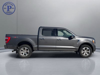 2022 Ford F-150 Platinum