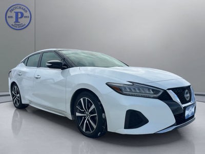 2023 Nissan Maxima SV