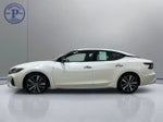 2023 Nissan Maxima SV