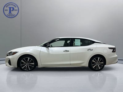 2023 Nissan Maxima SV